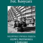 Maciej Kosycarz w Alfa Centrum