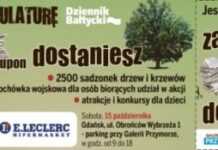 drzewko za makulature1