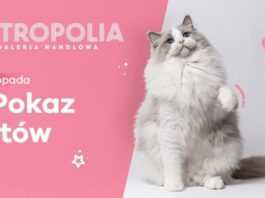 galeria metropolia atrakcje